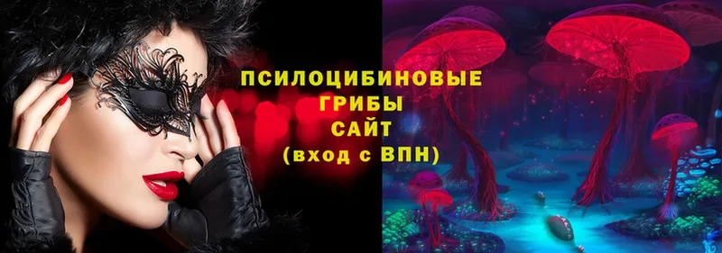 Галлюциногенные грибы Psilocybe Димитровград